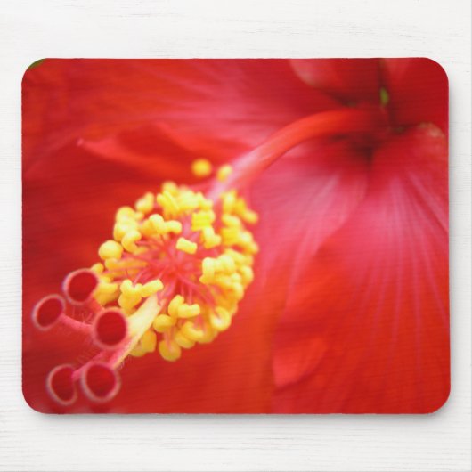 Roter Hibiskus Mousepad (Vorne)