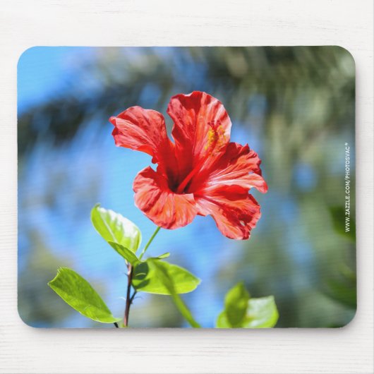 Roter Hibiskus Mousepad (Vorne)
