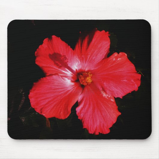 Roter Hibiskus Mousepad (Vorne)