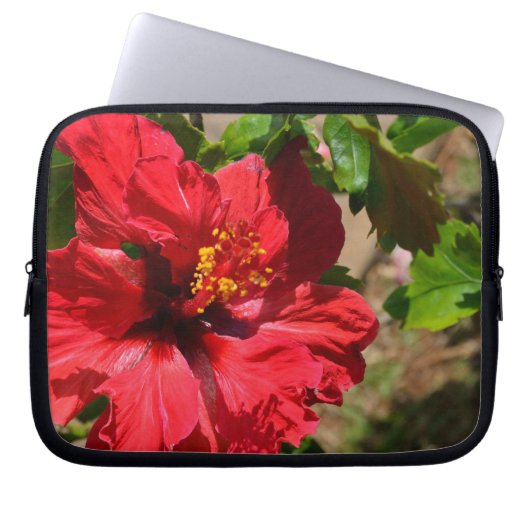 Roter Hibiskus Notebook-Tasche Laptopschutzhülle (Vorderseite)