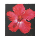Roter Hibiskus Notizblock (Vorderseite)