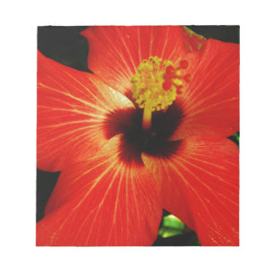 Roter Hibiskus Notizblock
