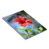 Roter Hibiskus Notizblock (Rechte Seite)