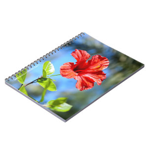Roter Hibiskus Notizblock