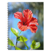 Roter Hibiskus Notizblock (Vorderseite)