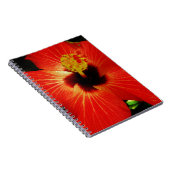 Roter Hibiskus Notizblock (Rechte Seite)