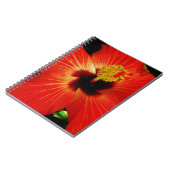 Roter Hibiskus Notizblock (Linke Seite)