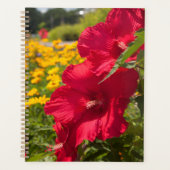 Roter Hibiskus Planer (Vorderseite)