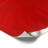 Roter Hibiskus Poster (Ecke)