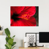 Roter Hibiskus Poster (Heimbüro)