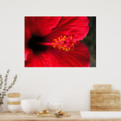 Roter Hibiskus Poster (Küche)
