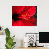 Roter Hibiskus Poster (Heimbüro)