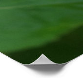 Roter Hibiskus Poster (Ecke)