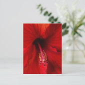 Roter Hibiskus Postkarte (Stehend Vorderseite)