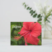 Roter Hibiskus Postkarte (Stehend Vorderseite)