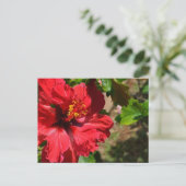 Roter Hibiskus Postkarte (Stehend Vorderseite)