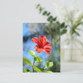 Roter Hibiskus Postkarte (Stehend Vorderseite)