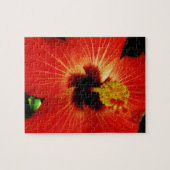 Roter Hibiskus Puzzle (Horizontal)