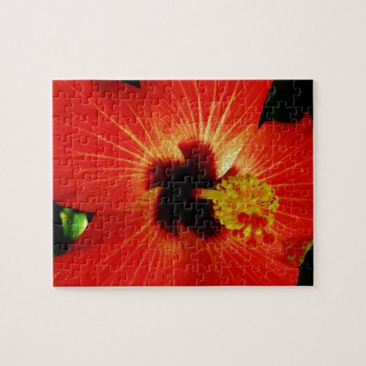 Roter Hibiskus Puzzle (Horizontal)