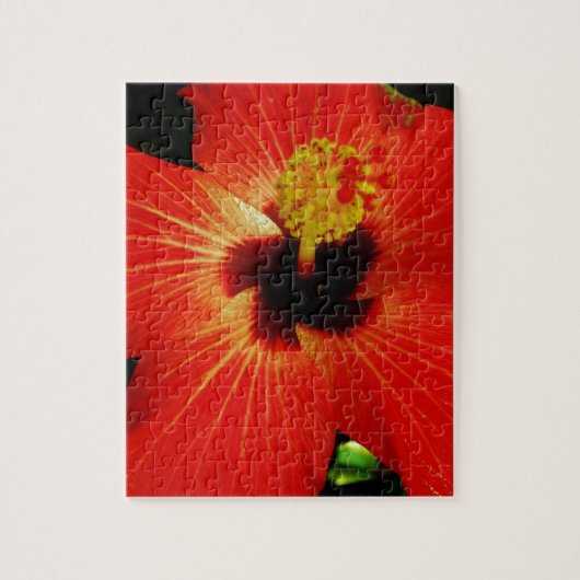 Roter Hibiskus Puzzle (Vertikal)