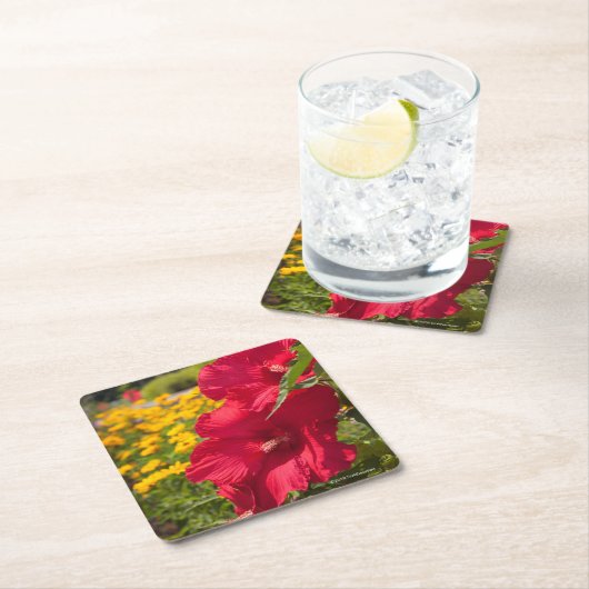 Roter Hibiskus Rechteckiger Pappuntersetzer (Vor Ort)