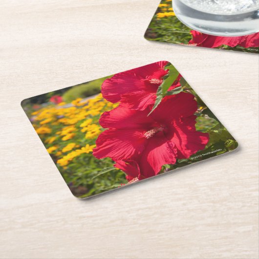 Roter Hibiskus Rechteckiger Pappuntersetzer (angewinkelt)