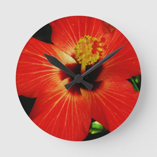 Roter Hibiskus Runde Wanduhr (Vorderseite)