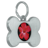 Roter Hibiskus Tiermarke (Vorderseite links)