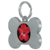 Roter Hibiskus Tiermarke (Vorderseite rechts)