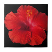 Roter Hibiskus Tropische Blume Blume Blauer Fliese (Vorderseite)