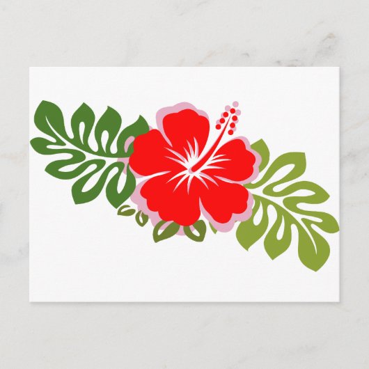 Roter Hibiskus und Blätter Postkarte (Vorderseite)