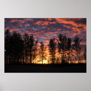 Roter Himmel am Nachtplakat Poster