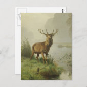 Roter Hirsch Postkarte (Vorne/Hinten)