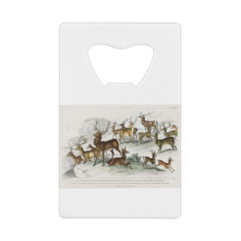 Roter Hirschhaar, Hind, Roebuck, Thibetianischer H Geldbeutel Flaschenöffner