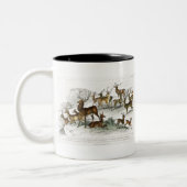 Roter Hirschhaar, Hind, Roebuck, Thibetianischer H Zweifarbige Tasse (Links)