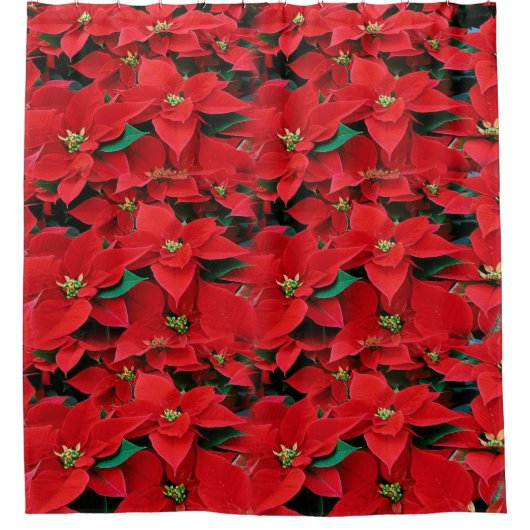 Roter Holiday Duschvorhang (Vorderseite)