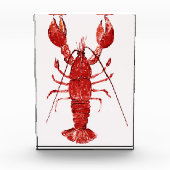 Roter Hummer Fotoblock (Vorderseite)