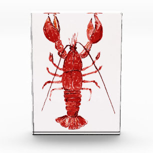 Roter Hummer Fotoblock