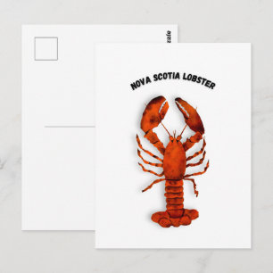 Roter Hummer Postkarte