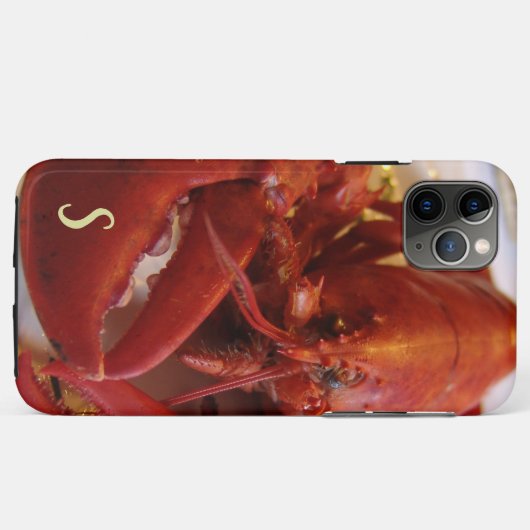 Roter Hummer Seafood Krustentisch iPhone / iPad Ge Case-Mate iPhone Hülle (Rückseite (Horizontal))