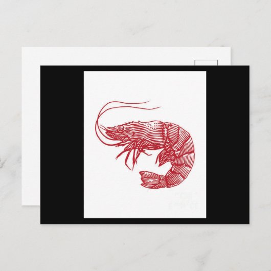 Roter Hummer Shrimp Postkarte (Vorne/Hinten)