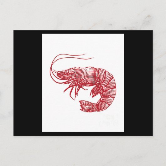 Roter Hummer Shrimp Postkarte (Vorderseite)