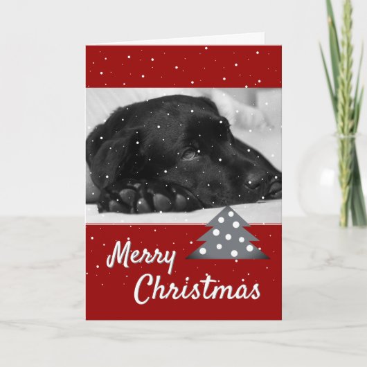 Roter Hund Foto Tree Frohe Weihnachten (Vorderseite)