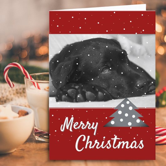 Roter Hund Foto Tree Frohe Weihnachten