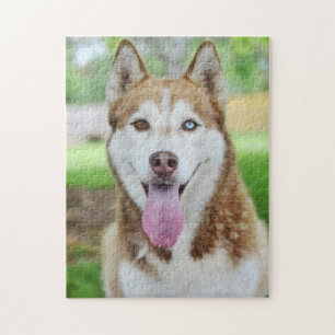 Roter Hund Puzzle