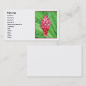 Roter Ingwer-Wasserfarbe Visitenkarte (Vorne/Hinten)