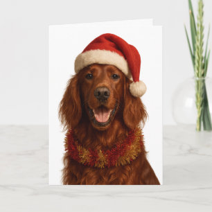Roter / Irischer Setter mit Weihnachtsmannmütze We Karte