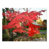 Roter Japanischer Ahorn und Gartenschrein Fotodruck (Vorne)