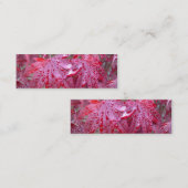 Roter japanischer Ahorn verlässt Mini Visitenkarte (Vorne/Hinten)