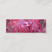 Roter japanischer Ahorn verlässt Mini Visitenkarte (Rückseite)